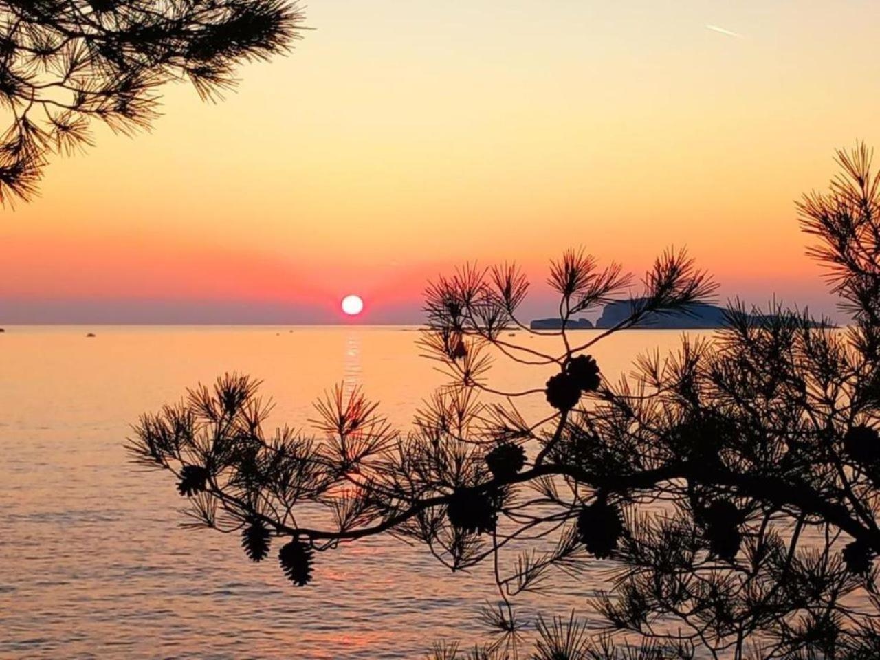 New Apartment Roko Zvekovica -Cavtat,Near Dubrovnik Airport Buitenkant foto